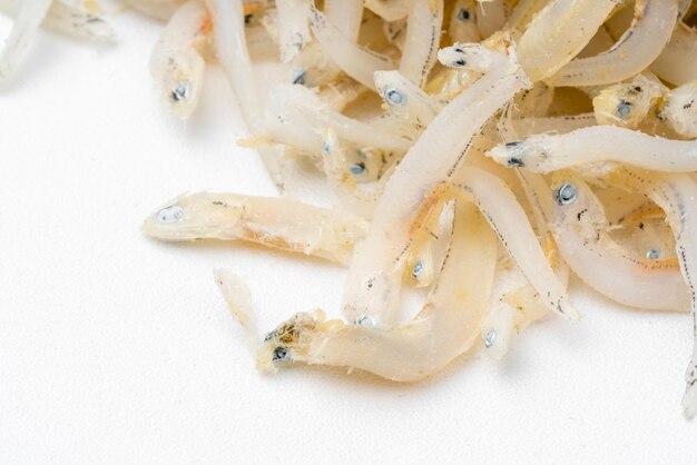 Anchois frais séchés sur fond blanc Poissons de mer salés secs crus Poissons fourragers d'eau salée