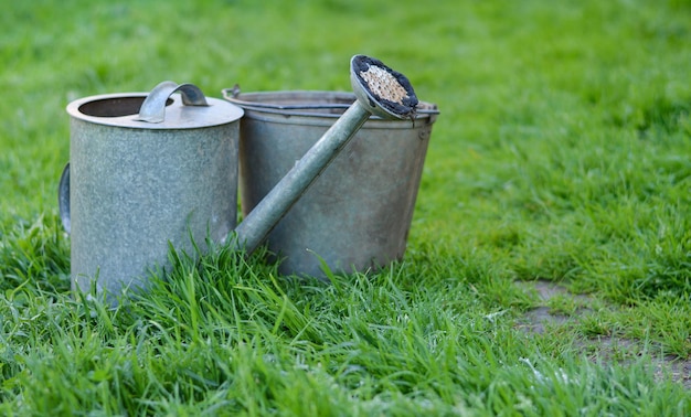 Ancien arrosoir en métal et un seau se tiennent sur l'herbe en été