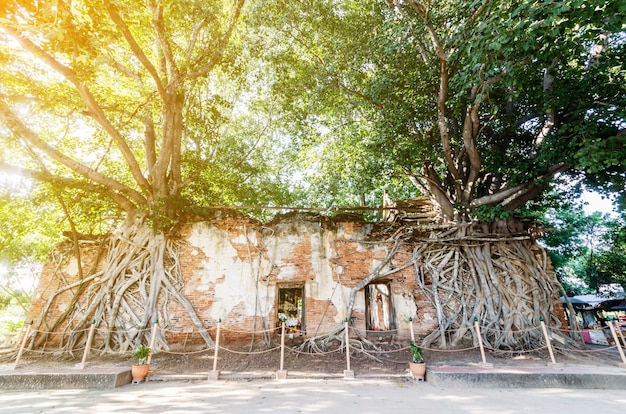 Ancien bâtiment bouddhiste invisible pour l&#39;attraction touristique au temple de Sang Kra Tai