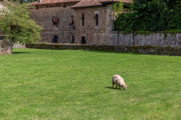 ancien bâtiment médiéval cantabrie