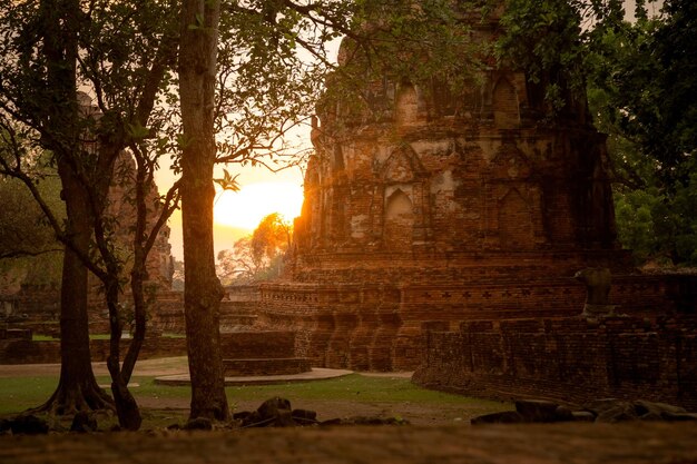 Ancien beau temple thaïlandais wat Mahathat Parc historique d'Ayutthaya Ayutthaya Thaïlande