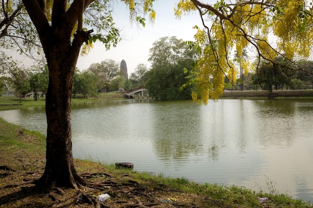Ancien beau temple thaïlandais wat Mahathat Parc historique d'Ayutthaya Ayutthaya Thaïlande