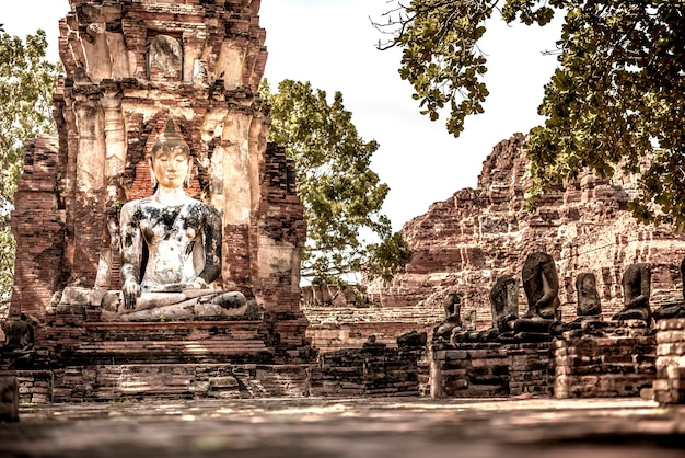 Photo l'ancien bouddha. enchaîné au wat mahathat, phra nakhon si ayutthaya thaïlande.