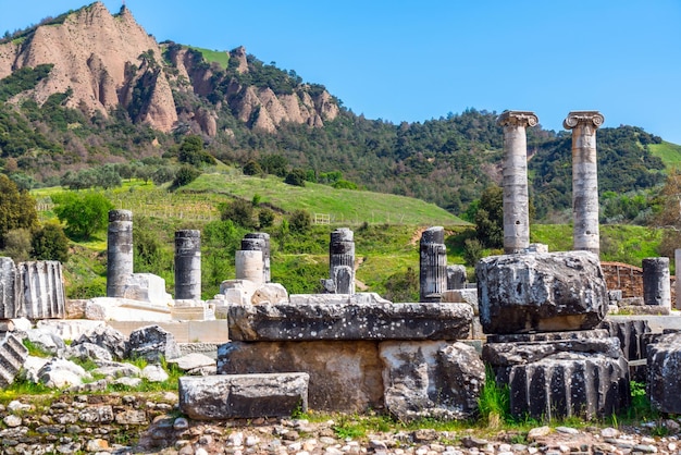 Ancien Lieu de Tourisme Historique Sardes Artemis