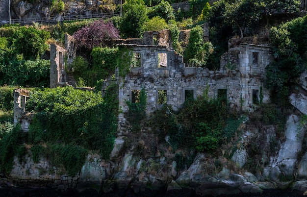 Ancien manoir en ruines au bord de l'eau envahi par la nature.