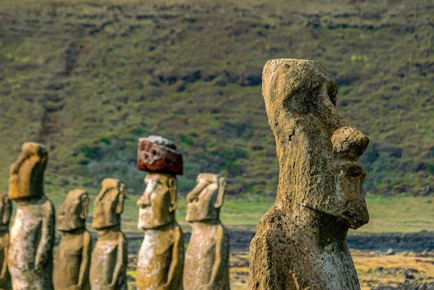 L'ancien moai d'Ahu Togariki sur l'île de Pâques