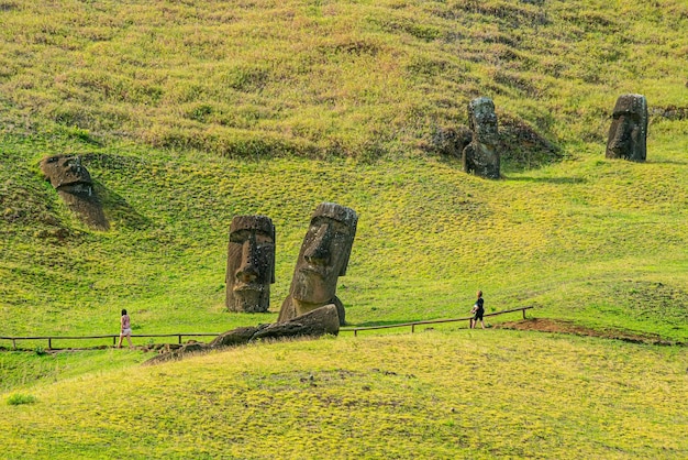 L'ancien moai de l'île de Pâques au Chili