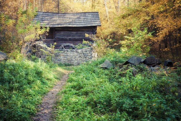 Ancien moulin dans la forêt d'automne