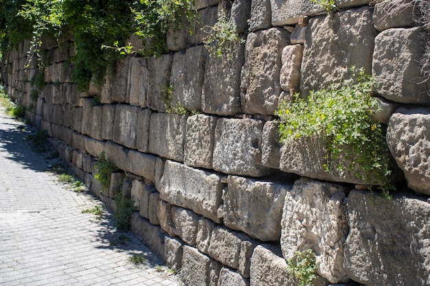 ancien mur de pierre recouvert d'herbe.