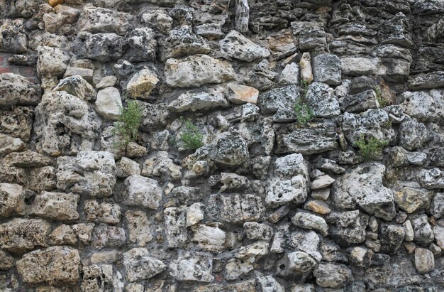 Ancien mur de pierres inégales