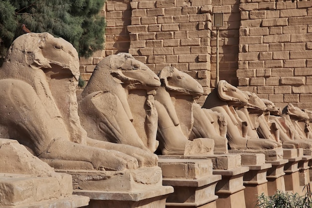 Photo l'ancien temple de karnak à louxor en égypte