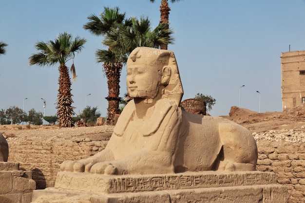 Ancien temple de Louxor dans la ville de Louxor, Egypte