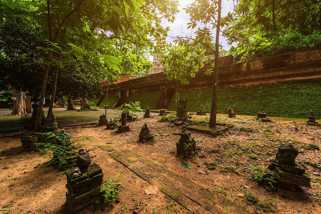 L'ancien tunnel de Wat Umong Suan Puthanatham est un temple bouddhiste est une attraction touristique majeure avec la nature verte de la forêt à Chiang MaiThailand