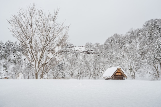 L&#39;ancien village de Shirakawago au Japon est un site du patrimoine mondial de l&#39;UNESCO.