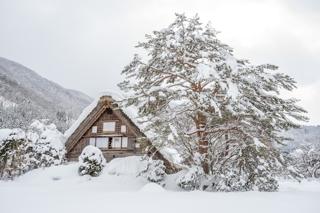 L&#39;ancien village de Shirakawago au Japon est un site du patrimoine mondial de l&#39;UNESCO.