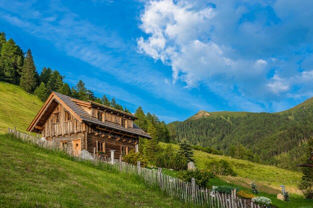 Ancienne cabane en bois