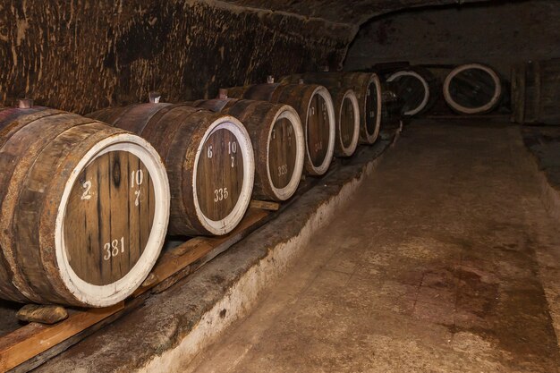 Une ancienne cave à vin avec des fûts de chêne, des fûts à vin dans d'anciennes caves