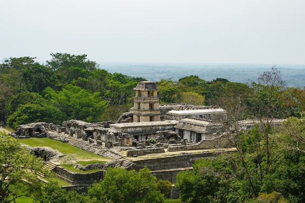 Ancienne cité maya cachée dans la jungle sauvage