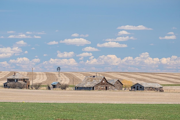 Ancienne ferme abandonnée au bord de la route dans les régions rurales de l'alberta