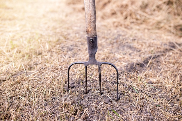 Ancienne fourche dans le fond du sol. Outils agricoles.