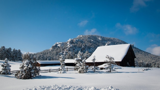 Ancienne grange après une tempête de neige à Evergreen, Colorado.