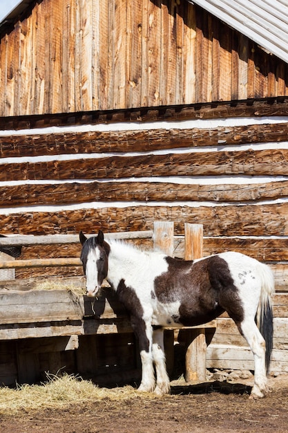 Ancienne grange en bois sur ranch local.