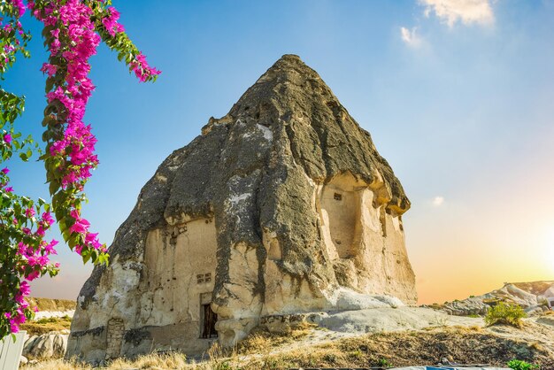 Ancienne grotte de grès et fleurs en Cappadoce, Turquie