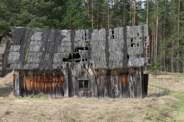 Ancienne maison de village de plain-pied en ruine. Habitation abandonnée dans la forêt. Russie typique. photo horizontale. Fermer