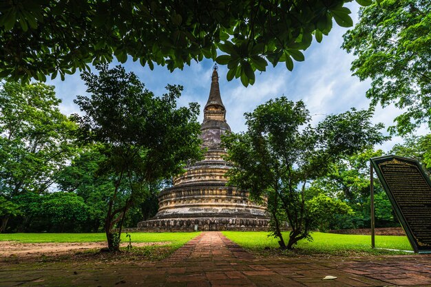 L'ancienne pagode Wat Umong Suan Puthatham est un temple bouddhiste dans le centre historique et est un temple bouddhiste est une attraction touristique majeure avec la nature de la forêt verte à Chiang MaiThailand