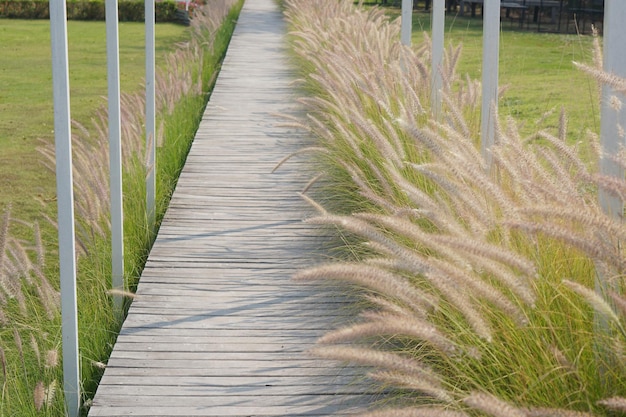 L'ancienne passerelle en bois autour est une belle herbe pour se promener dans le jardin fleuri