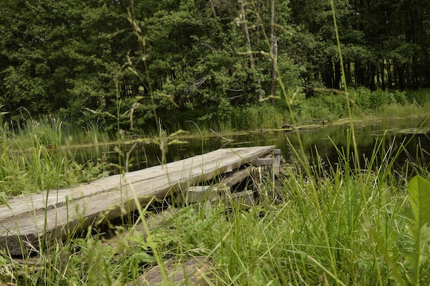 Ancienne plate-forme en bois sur la rivière Forest