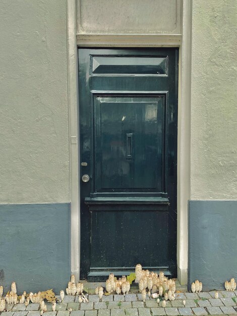 Photo l'ancienne porte de la maison devant laquelle les champignons ont grandi la maison de la sorcière moderne