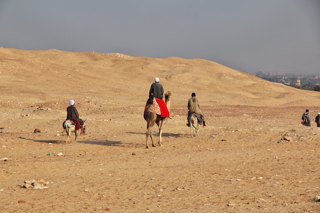 Ancienne pyramide de Sakkara dans le désert d'Egypte