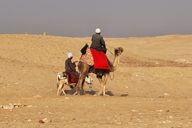 Ancienne pyramide de Sakkara dans le désert d'Egypte