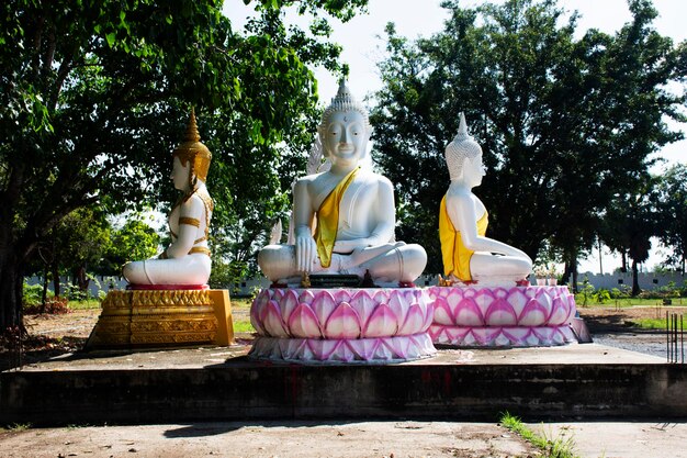Ancienne statue de Bouddha blanc en divinité antique ange pour le peuple thaïlandais voyageurs visite respect prière bénédiction et chance souhaitent saint mystère au temple Wat Noi Luang Phor Niam à Suphan Buri Thaïlande