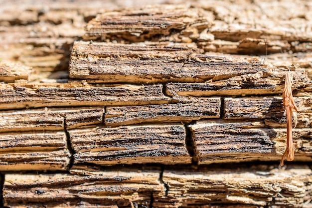 Ancienne surface fissurée d'une planche de bois