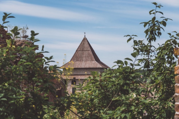 Une ancienne tour de forteresse parmi le feuillage