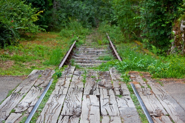 Ancienne voie ferrée dans une forêt