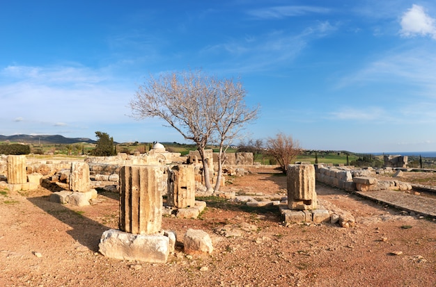 Photo anciennes colonnes de temple dans le parc archéologique de kato paphos dans la ville de paphos, chypre