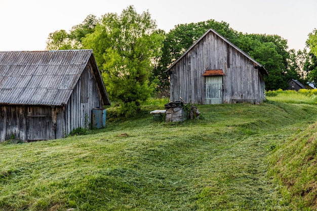 Anciennes granges en bois sur cour avec pelouse tondue au soir d'été