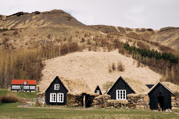 Anciennes maisons en bois noir avec une bourse sur le toit contre la forêt