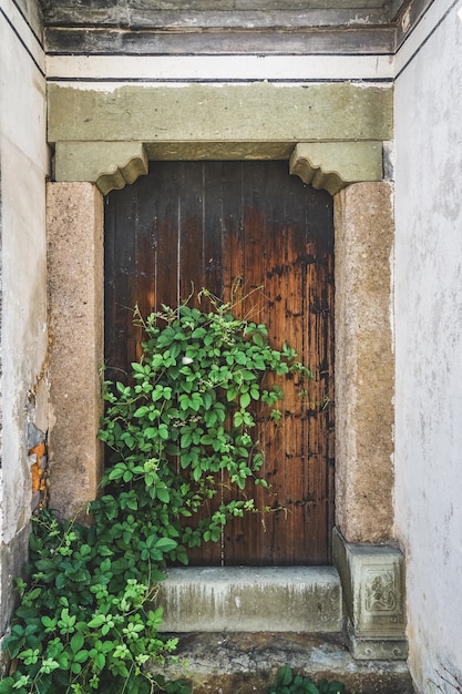 Anciennes portes et portes en bois en pierre