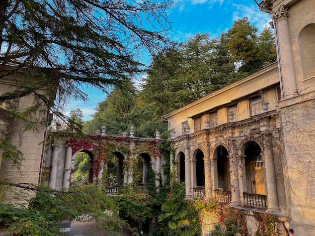 Photo les anciens bâtiments du sanatorium ordzhonikidze à sotchi