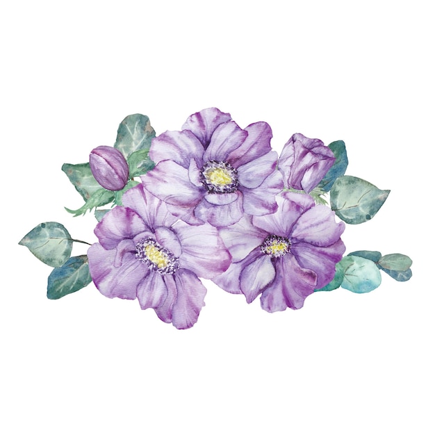 Anémones violettes dessinées à la main à l'aquarelle avec des feuilles vertes isolées sur fond blanc