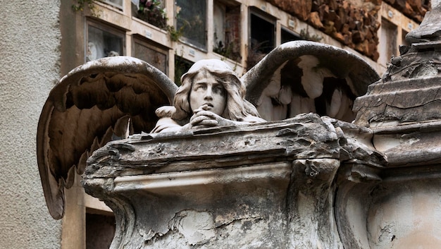 ange avec des ailes priant sur la tombe