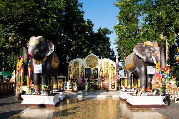 Ange divinité dieu et statue de bouddha du temple Wat Phra That Doi Kham pour les thaïlandais et les voyageurs étrangers voyagent visiter et respecter la prière dans la ville de Mae Hia le 10 novembre 2020 à Chiang Mai Thaïlande