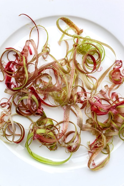 Angelica épluche sur une assiette blanche