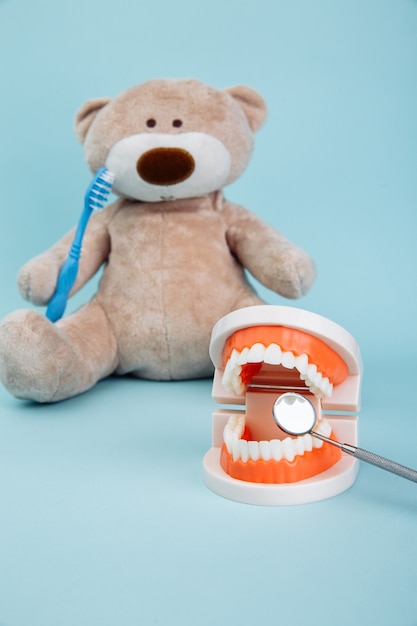 Animal ours en peluche avec brosse à dents isolé sur bleu