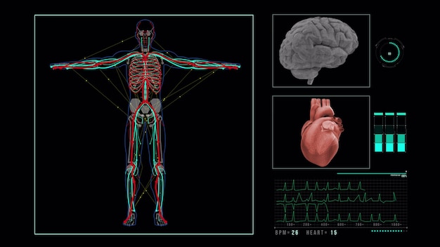 Animation de l'écran de scan cérébral Écran avec divers paramètres mesurés Interface d'écran médical Interface holographique d'application médicale Boucle sans couture