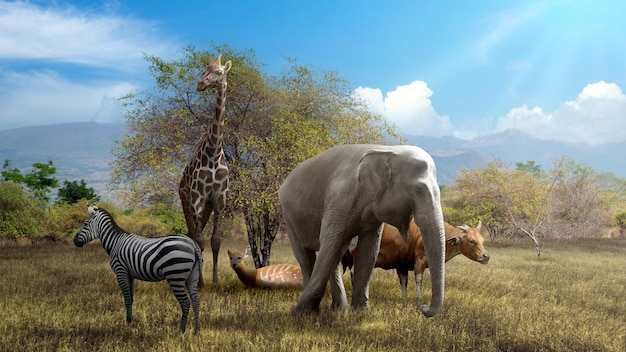 Les animaux dans la faune Concept de la Journée mondiale des animaux